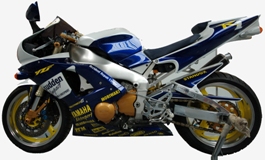 Sudden Impact Carry out Custom and Race Paint.